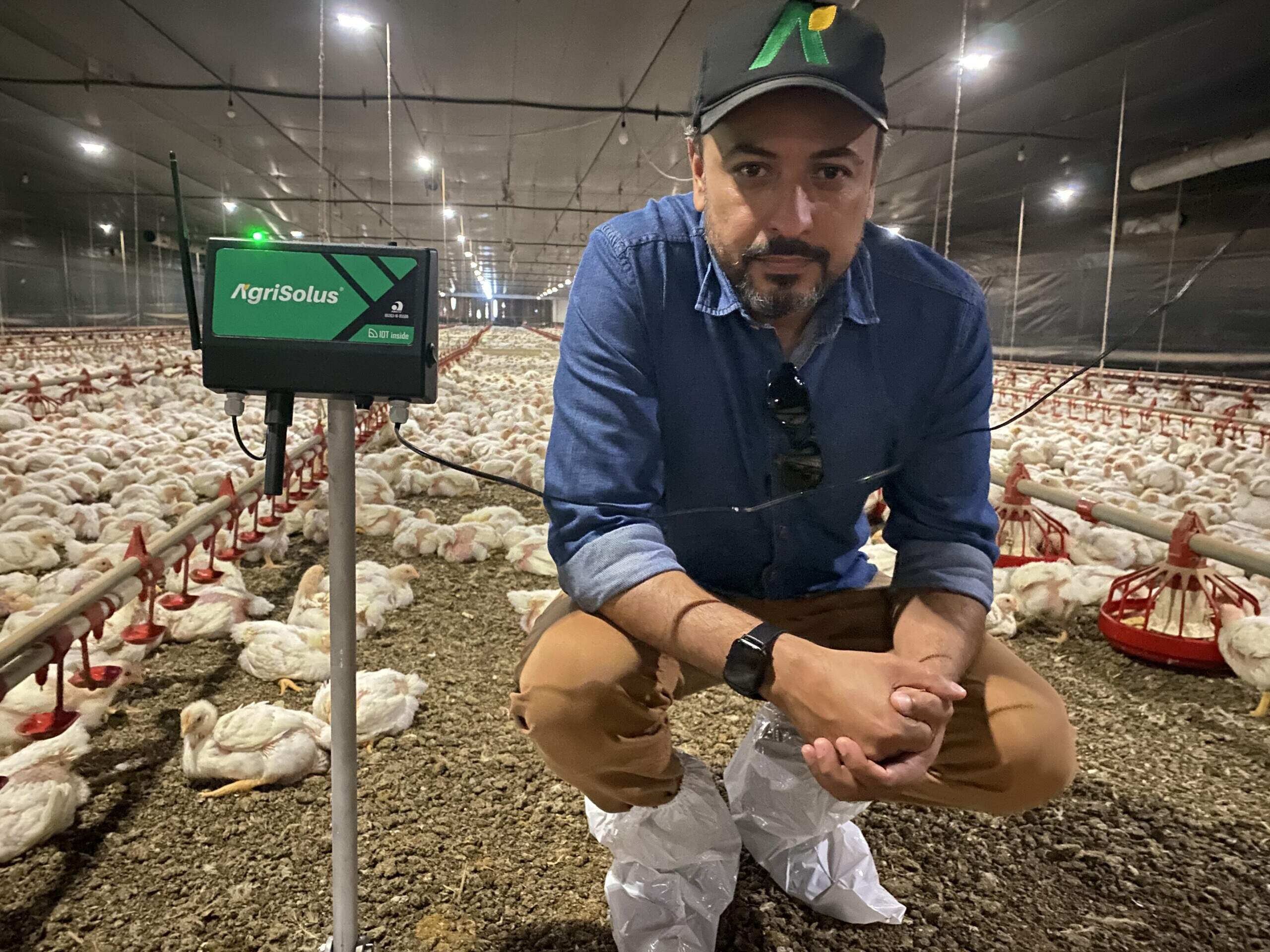 Agrisolus quer revolucionar avicultura com IoT e Inteligência Artificial